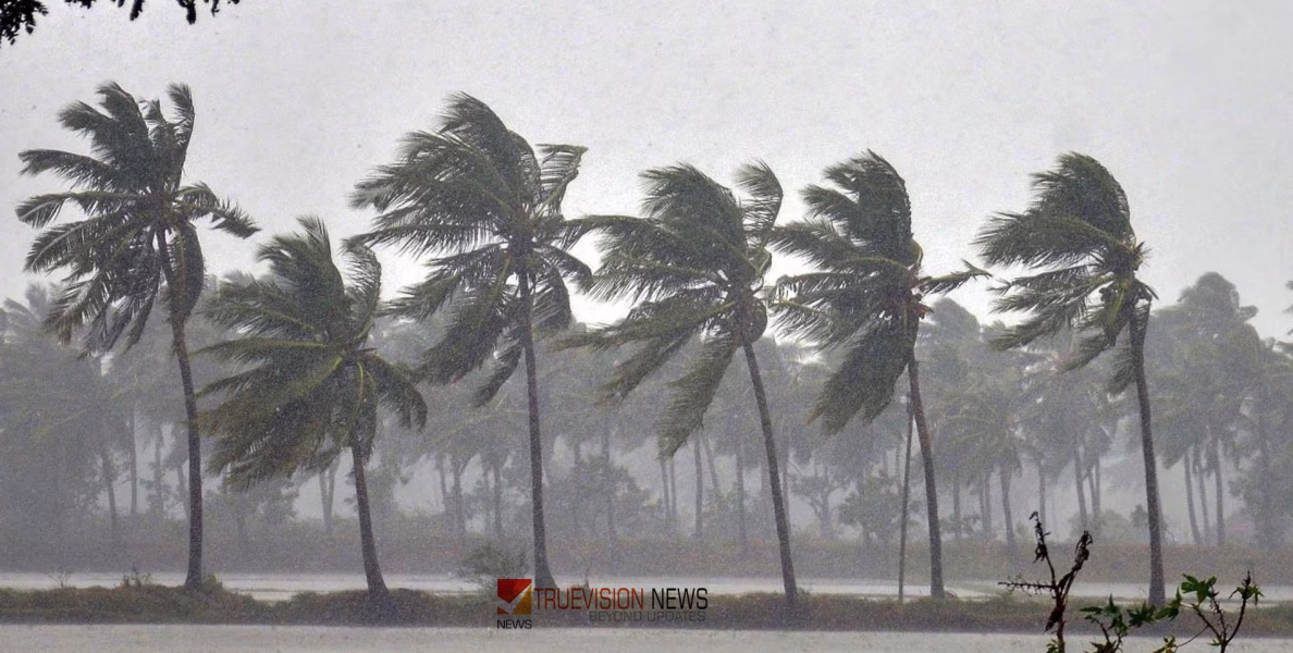 മഴ എങ്ങോട്ടും പോയിട്ടില്ല ...: അടുത്ത അഞ്ച്  ദിവസം ശക്തമായ മഴയ്ക്ക് സാധ്യത, കോഴിക്കോട് ഉൾപ്പെടെ യെല്ലോ അലേർട്ട് 