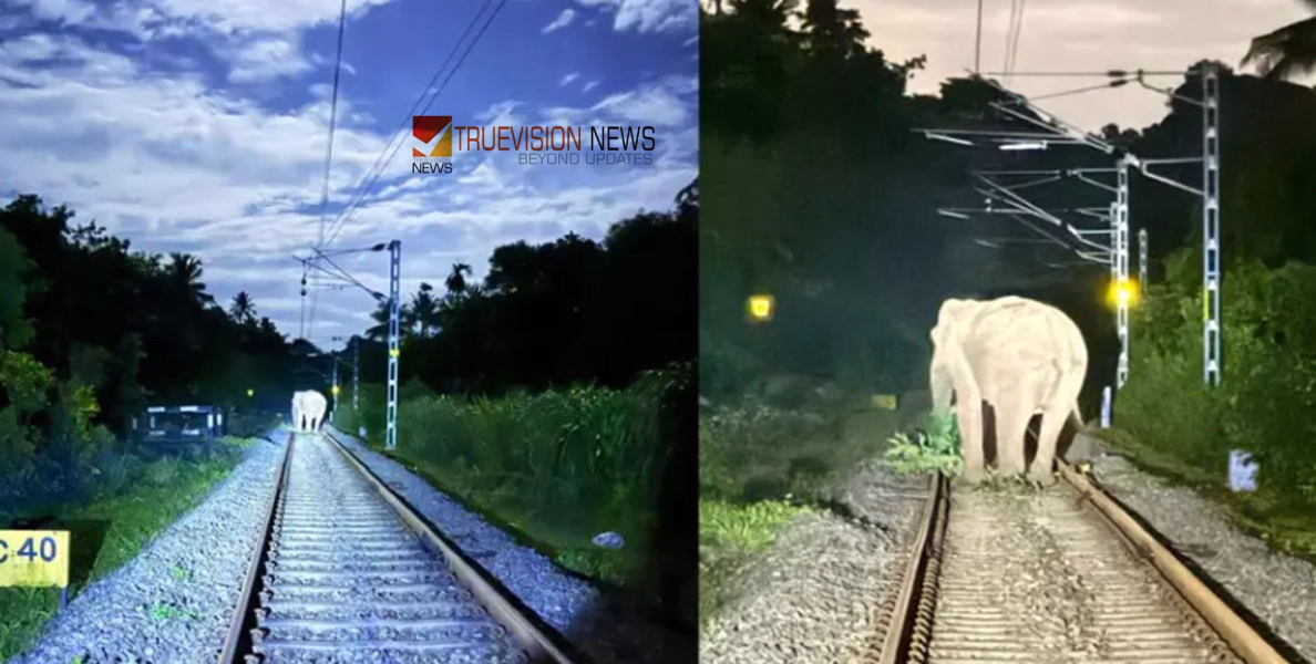 നടയാനേ...കൊല്ലം-ചെങ്കോട്ട പാതയിൽ റെയിൽവേ ട്രാക്കിൽ കാട്ടാന; ട്രെയിൻ തലനാരിഴയ്ക്ക് രക്ഷപ്പെട്ടു,15 മിനിറ്റ് നിർത്തിയിട്ട് പാലരുവി എക്സ്പ്രസ്