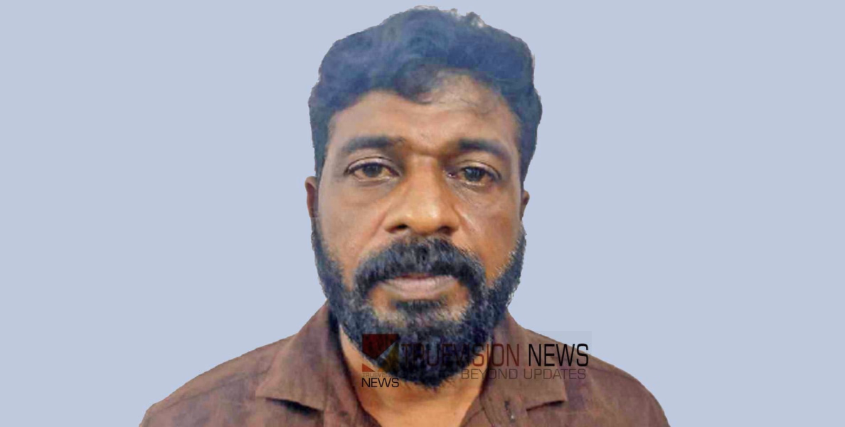 വിവാഹ വാഗ്ദാനം നൽകി വിധവയെ പീഡിപ്പിച്ചു, തട്ടിയെടുത്ത പണം തിരികെ ചോദിച്ചപ്പോൾ ഭീഷണി; 48-കാരൻ മാന്നാർ പൊലീസിന്റെ പിടിയിൽ
