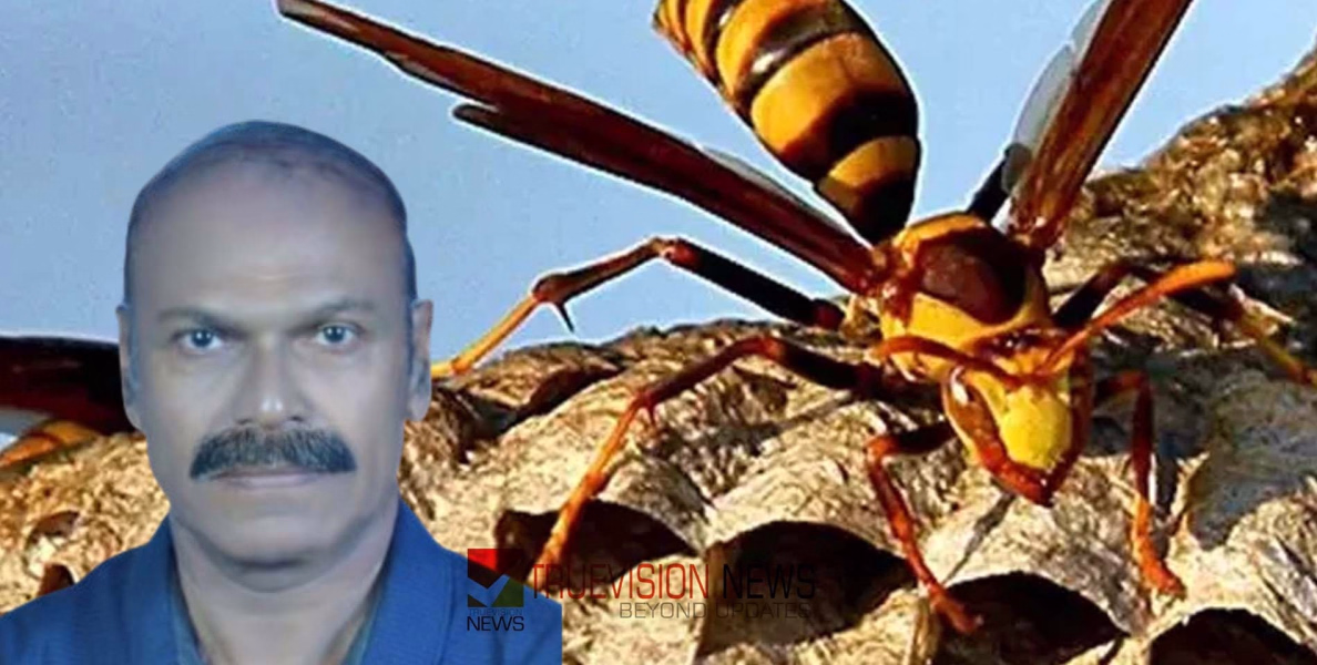 കടയ്ക്കലിൽ കടന്നൽ കുത്തേറ്റ് ചികിത്സയിലായിരുന്ന റിട്ടയേർഡ് ബിഎസ്എഫ് ജവാൻ മരിച്ചു