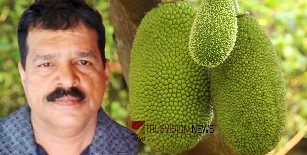 ചക്കയിടാന്‍ കയറുന്നതിനിടെ ഏണിയില്‍ നിന്ന് വീണു; ഗൃഹനാഥന് ദാരുണാന്ത്യം