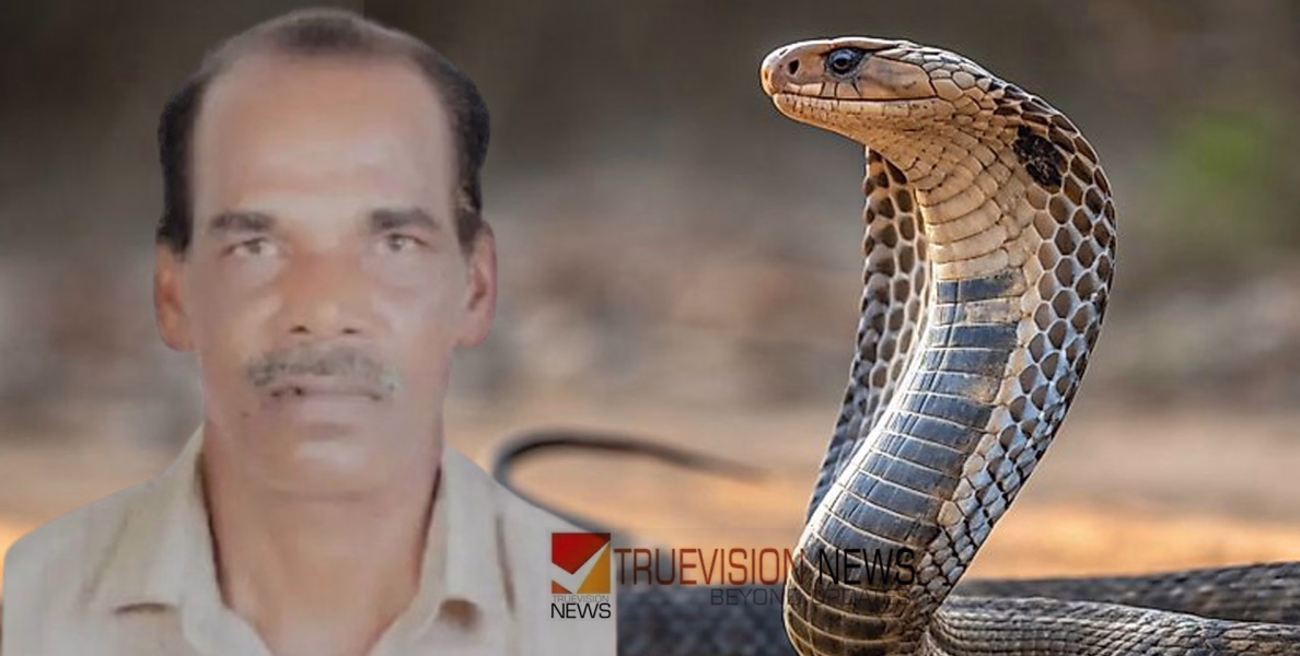 കാഞ്ഞിരപ്പള്ളിയിൽ പാമ്പുകടിയേറ്റ് തൊഴിലാളി മരിച്ചു